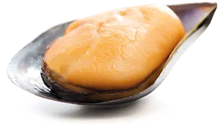 img3 desktop 320x180