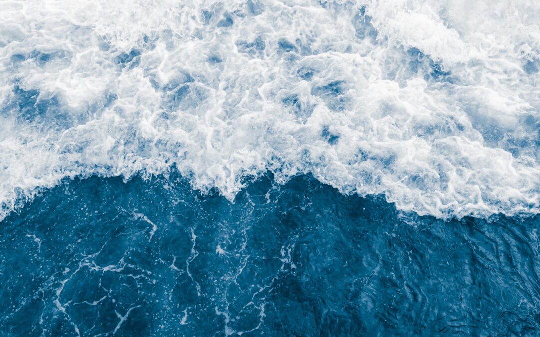 Cos’è la schiuma di mare?